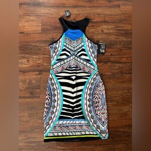 NWT Express Bodycon Dress